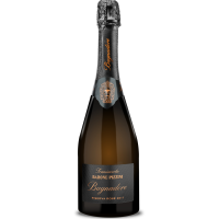 Barone Pizzini Franciacorta Bagnadore Rose 2011