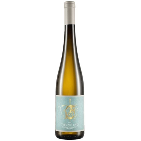 Grabenwerkstatt Riesling Ried Trenning 2023