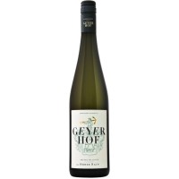 Geyerhof Grüner Veltliner Hoher Rain 2024