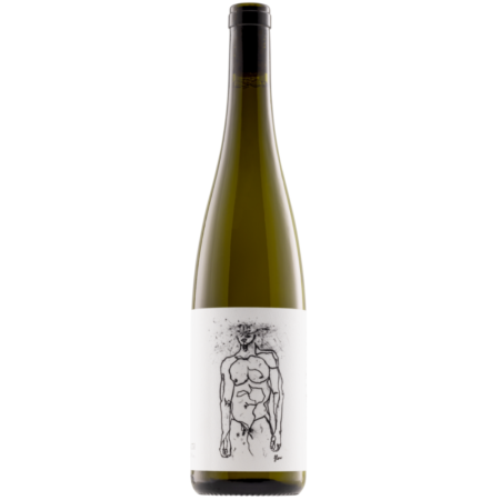 Geyerhof Grüner Veltliner Hofstudien 2024