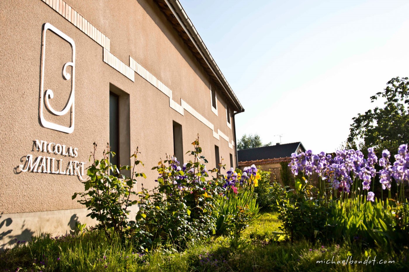 Maillart Jolivettes Bouzy Grand cru Extra Brut 2020 0,75l Maillart Jolivettes Bouzy Grand cru Extra Brut 2020 0,75l