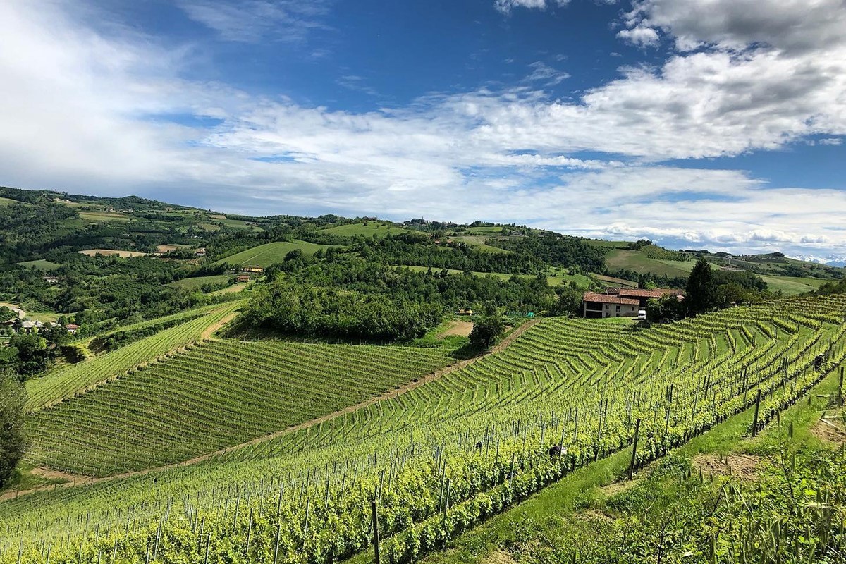 G.D. Vajra Langhe Nebbiolo DOC 2024