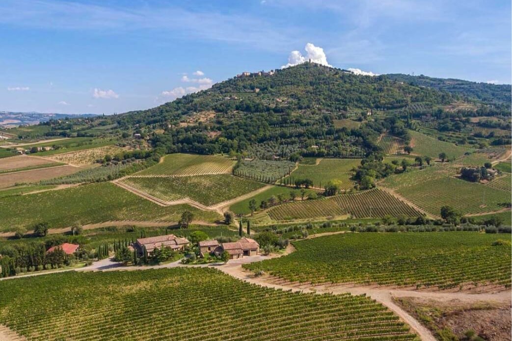 Capanna Brunello di Montalcino 2020  Capanna Brunello di Montalcino 2020