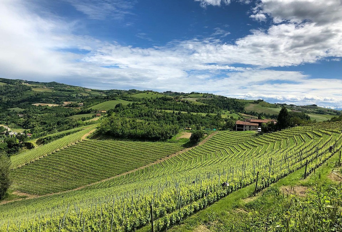 G.D. Vajra Langhe Nebbiolo DOC 2024